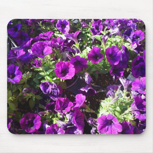 Tapis De Souris Pétunia violet Poussière (Devant)