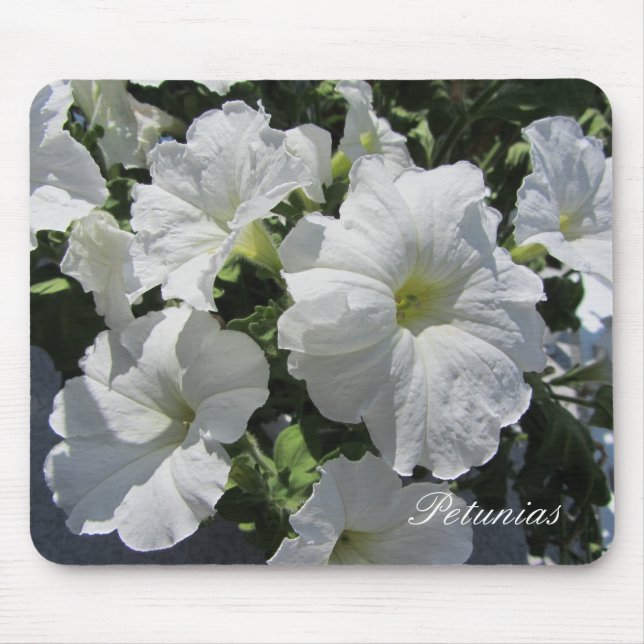 Tapis De Souris Petunias blancs (Devant)