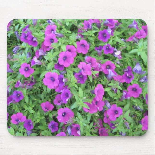 Tapis De Souris Pétunias pourpres Mousepad (Devant)