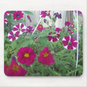 Tapis De Souris Pétunias rose