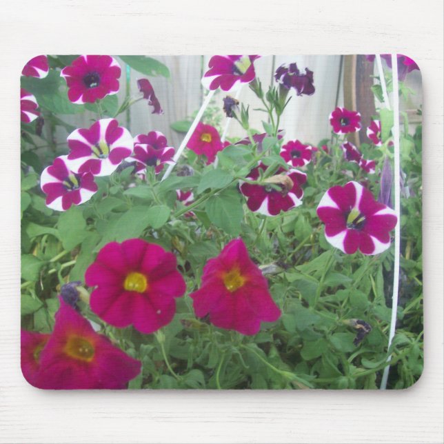 Tapis De Souris Pétunias rose (Devant)