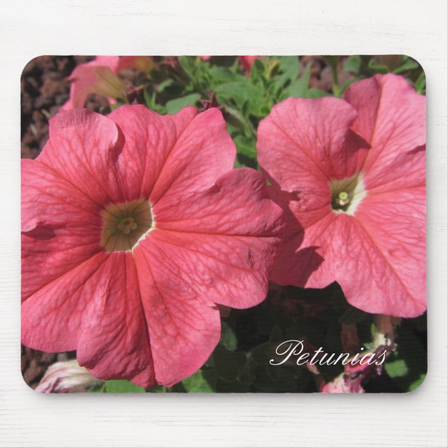 Tapis De Souris Pétunias roses (Devant)