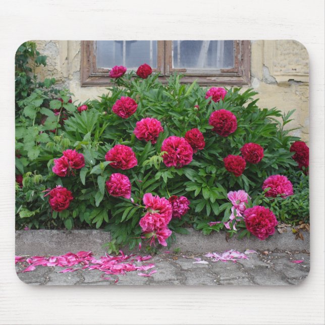 Tapis De Souris Pfingstrose (Devant)