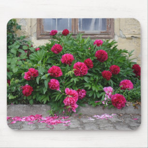 Tapis De Souris Pfingstrosen