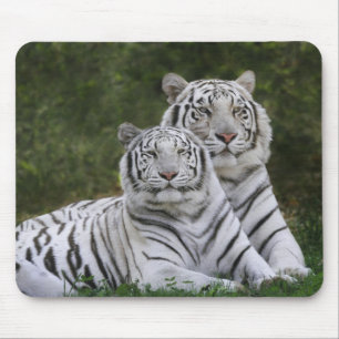 Tapis De Souris Phase blanche, Tigre du Bengale, Tigris