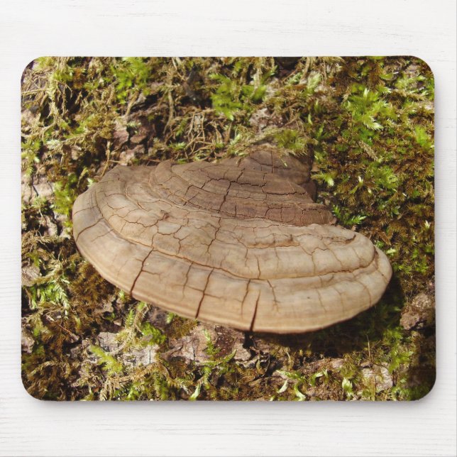 Tapis De Souris Phellinus igniarius Champignon Mat (Devant)
