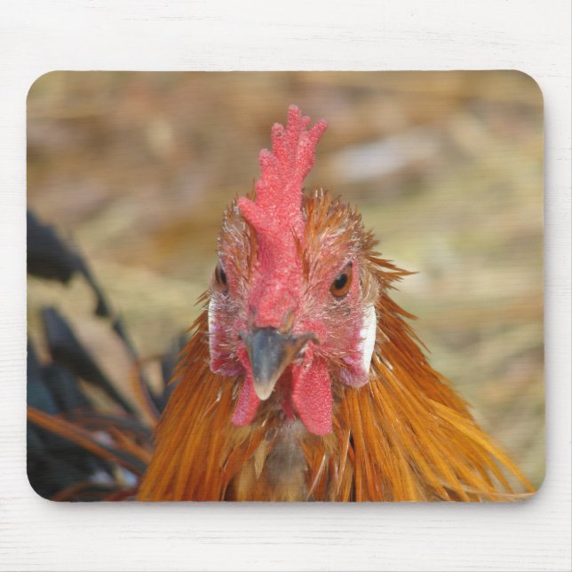 Tapis De Souris Phoenix met la caméra hors tension (Devant)