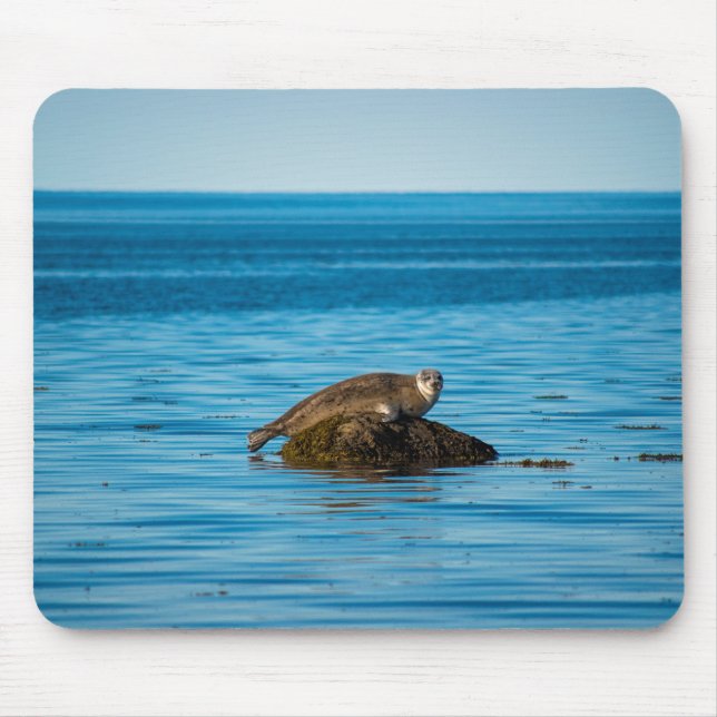 Tapis De Souris Phoque commun de l'Atlantique (Devant)