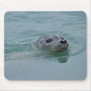 Tapis De Souris Phoque marin nageant dans le lac glaciaire Jokulsa