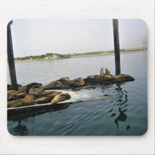 Tapis De Souris Phoques du port, Morro Bay, Californie