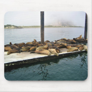 Tapis De Souris Phoques du port, Morro Bay, Californie