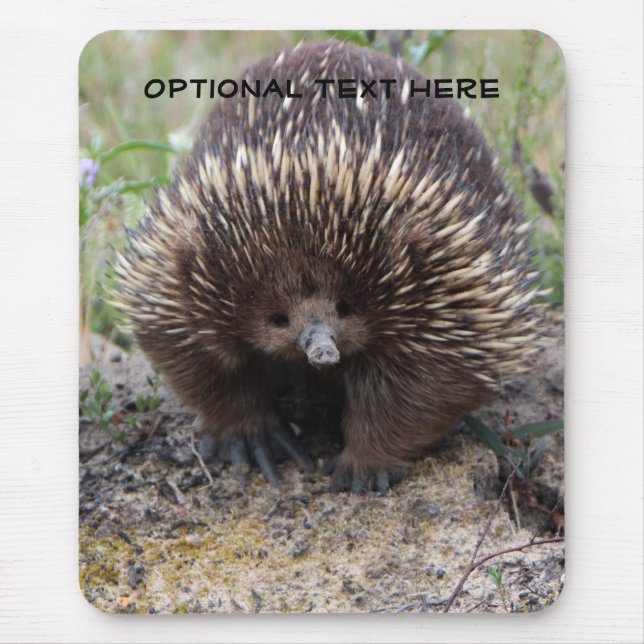 Tapis De Souris Photo animale mignonne d'Echidna australien (Devant)