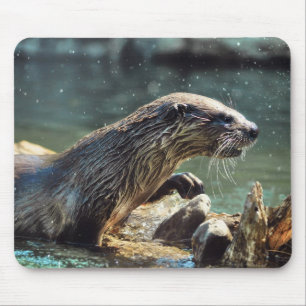 Tapis De Souris Photo animalière de River Otter Animal-lover