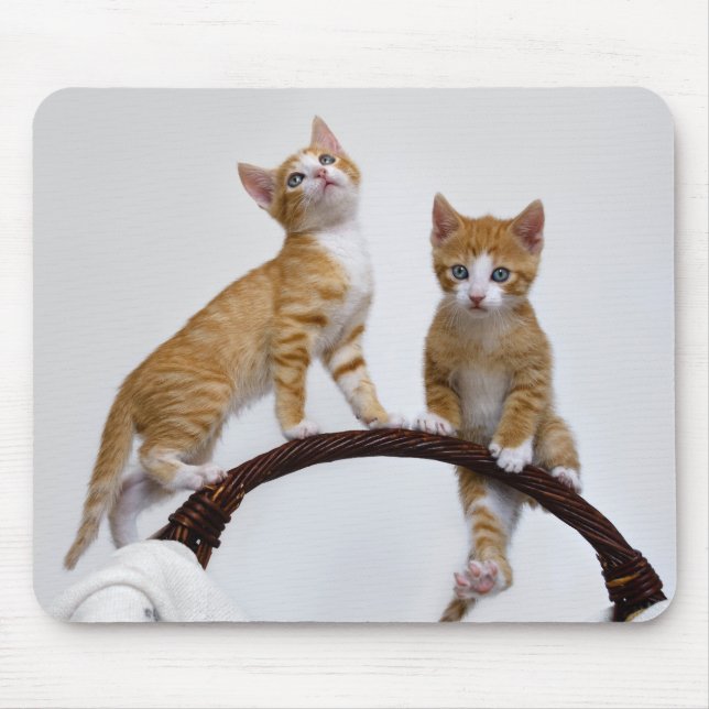 Tapis De Souris Photo Cute Baby Cats Kittens Funny Gym (Devant)