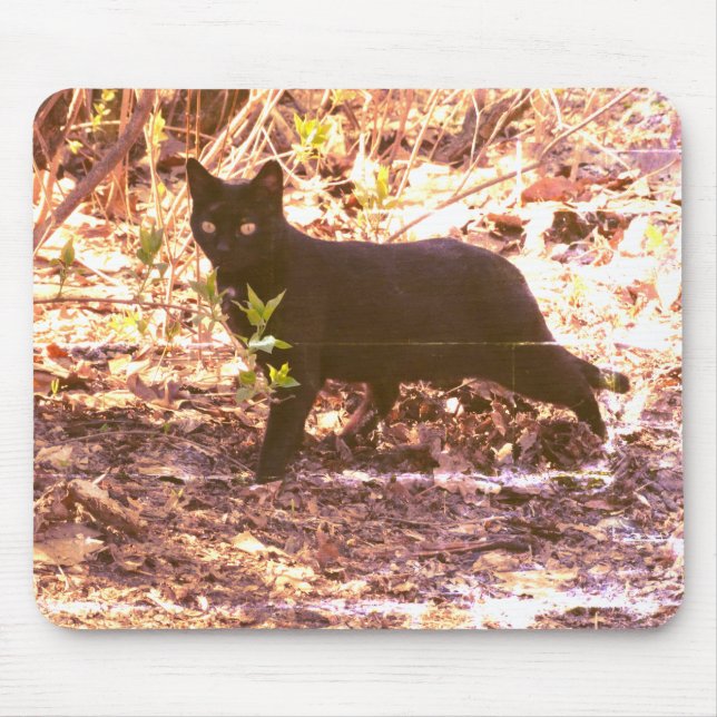 Tapis De Souris Photo de chat noir (Devant)