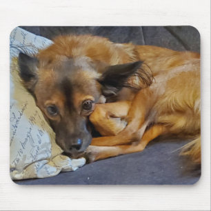 Tapis De Souris Photo de chien personnalisée