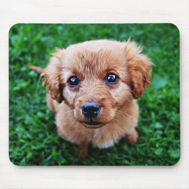 Tapis De Souris Photo de chiot adorable (Devant)