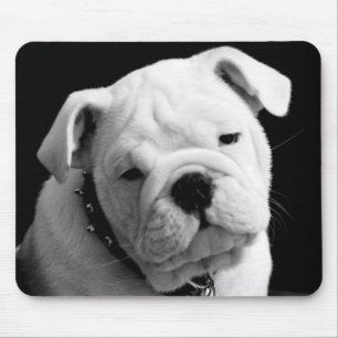 Tapis de souris photo de chiot Bouledogue anglais