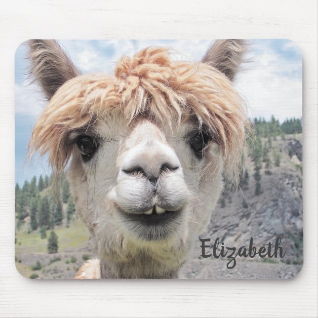 Tapis De Souris Photo de Cute Smiling Alpaca (Devant)