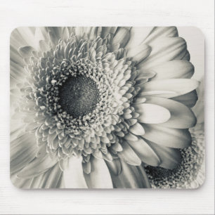 Tapis De Souris Photo de fleur de marguerite noir blanc