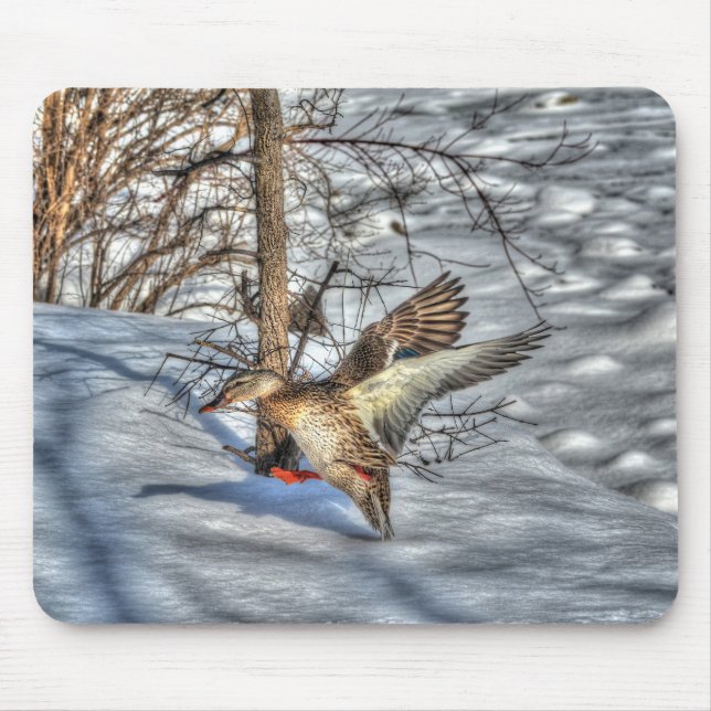 Tapis De Souris Photo de la faune de Mallard Duck Birlover (Devant)