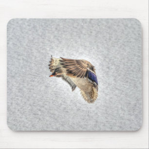 Tapis De Souris Photo de la faune de Mallard Duck Birlover