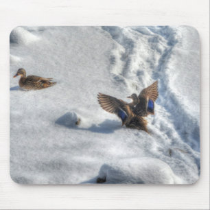 Tapis De Souris Photo de la faune de Mallard Duck Birlover