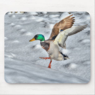 Tapis De Souris Photo de la faune de Mallard Duck Birlover