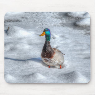 Tapis De Souris Photo de la faune de Mallard Duck Birlover