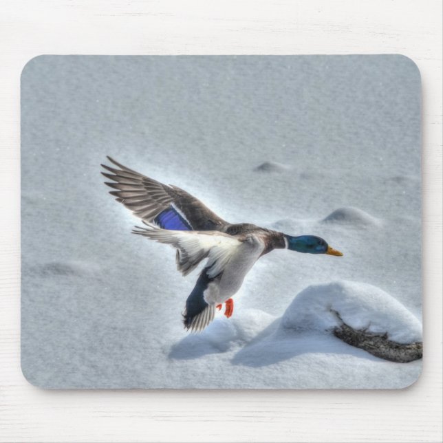 Tapis De Souris Photo de la faune de Mallard Duck Birlover (Devant)
