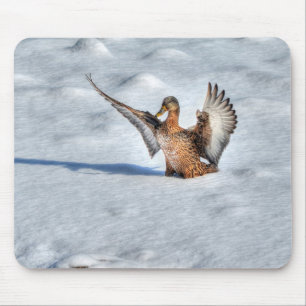 Tapis De Souris Photo de la faune de Mallard Duck pour les amateur