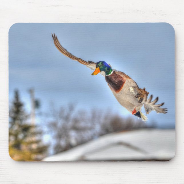 Tapis De Souris Photo de la faune de Mallard Duck pour les amateur (Devant)