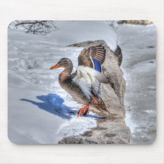 Tapis De Souris Photo de la faune de Mallard Duck pour les amateur (Devant)