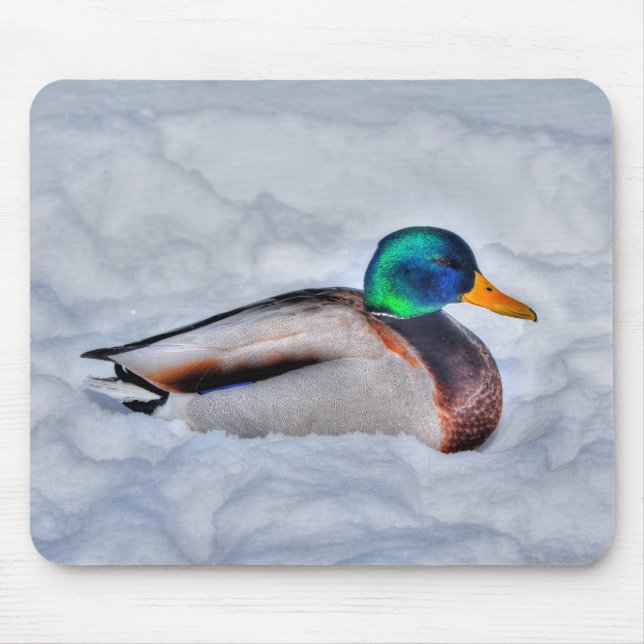 Tapis De Souris Photo de la faune de Mallard Duck pour les amateur (Devant)
