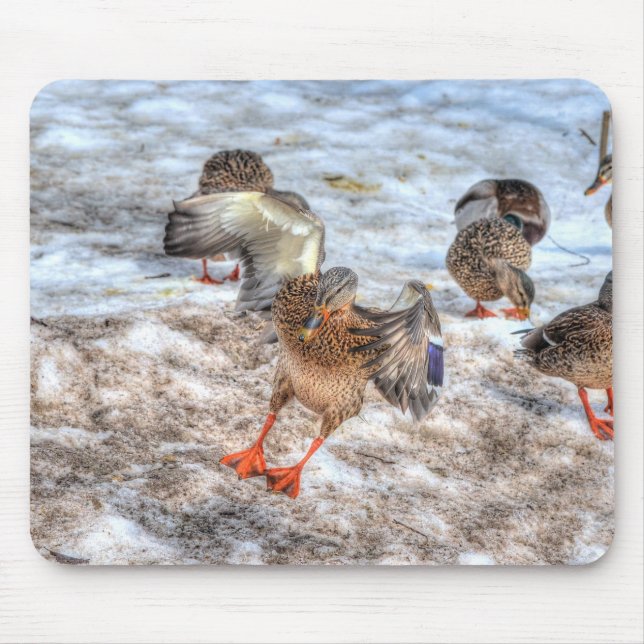 Tapis De Souris Photo de la faune de Mallard Duck pour les amateur (Devant)