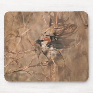 Tapis De Souris Photo de la faune d'oiseaux moineaux bruns de la f