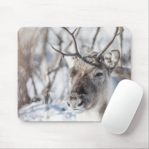 Tapis De Souris Photo de la nature des rennes