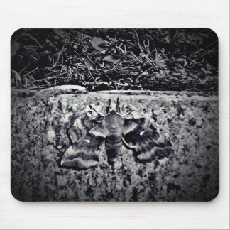 Tapis De Souris Photo de la vieille mère