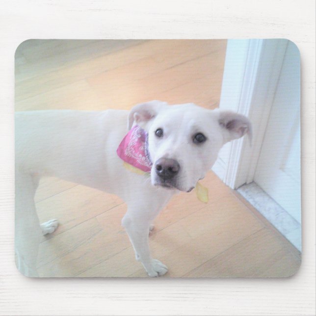 Tapis De Souris Photo de mignon blanc chiot blanc visage (Devant)
