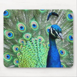 TAPIS DE SOURIS PHOTO DE PAON DE PAON