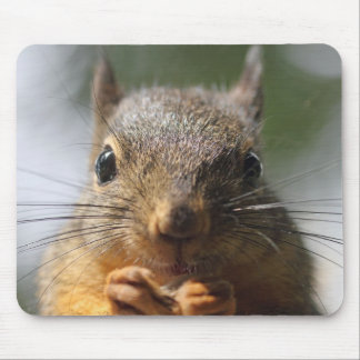 Tapis De Souris Photo de sourire d'écureuil mignon