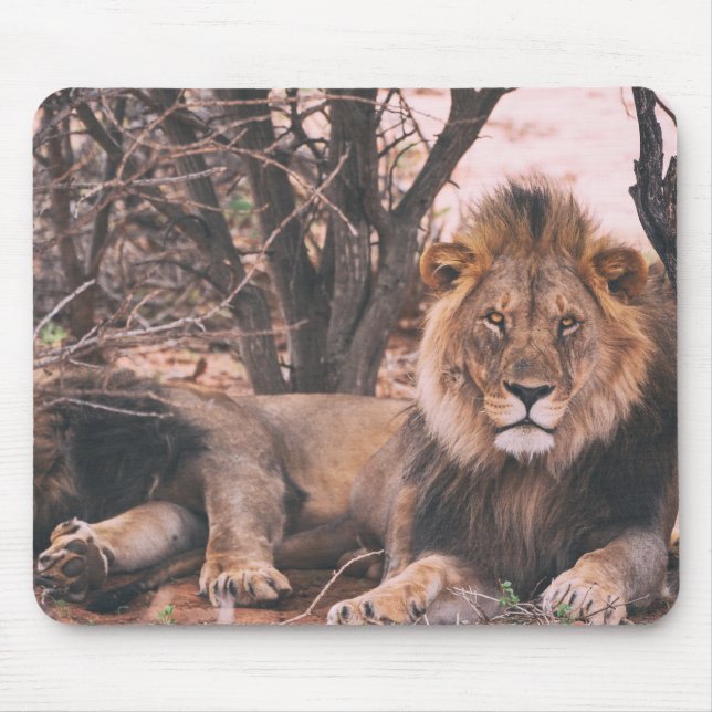 Tapis De Souris Photo du lion cool (Devant)