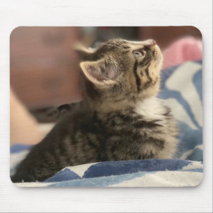 Tapis De Souris Photo d'un adorable chaton, ou téléchargez votre p