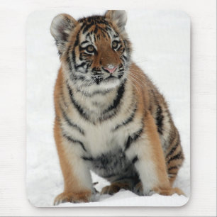 Tapis De Souris Photo d'un bébé tigre dans la neige