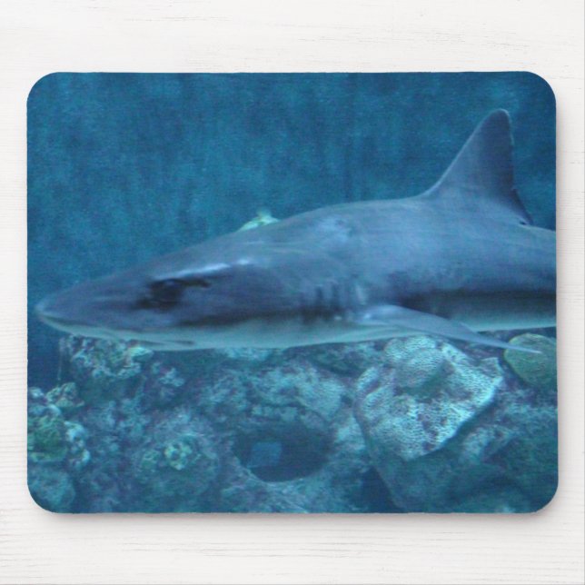 Tapis De Souris Photo d'une souris de requin (Devant)