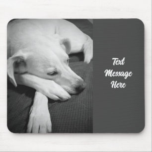 Tapis De Souris Photo en noir et blanc d'un beau chien dormant