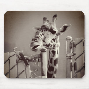 Tapis De Souris Photo Giraffe - Style Vintage