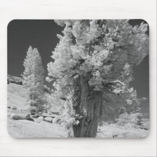 Tapis De Souris Photo infrarouge dans la partie est du Yosemite Na