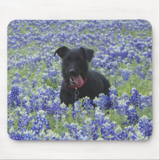 Tapis De Souris Photo mignonne de chiot de champ de Bluebonnets de