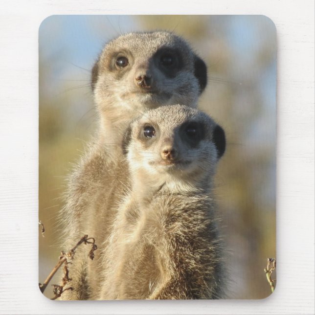 Tapis De Souris Photo mignonne d'un couple de suricates (Devant)